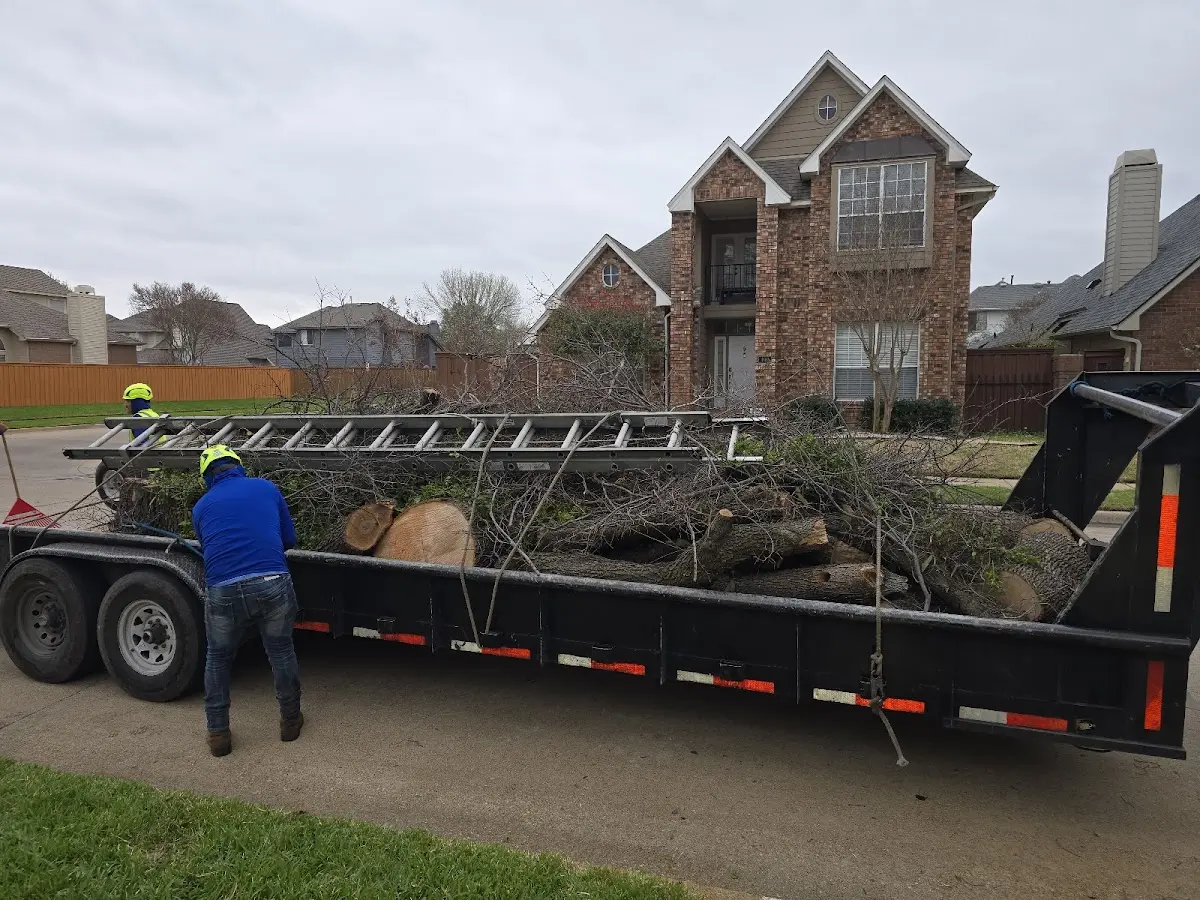 Expert Tree Fertilization with proper safety equipment in Barrackville